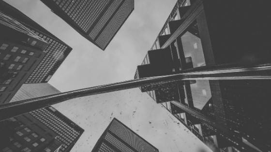 Industry Mentor-Mentee Program